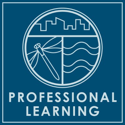 Blue background with Groundswell logo and the words "professional learning"